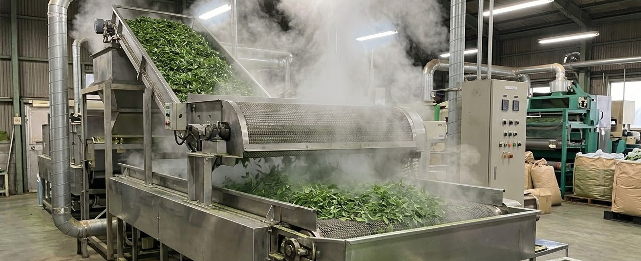 A large-scale matcha production facility showing clean, modern equipment